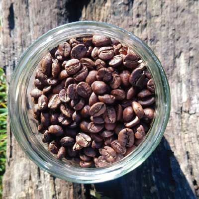 Café en grain 100% Arabica Pauline 250g