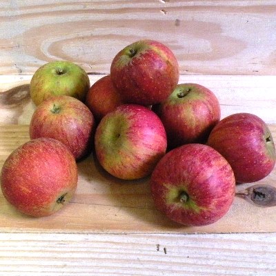 Pommes Wellant 1kg