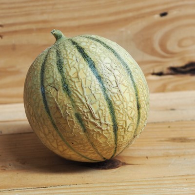 Melon charentais pièce