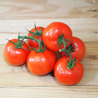 Tomates ronde classique 1kg